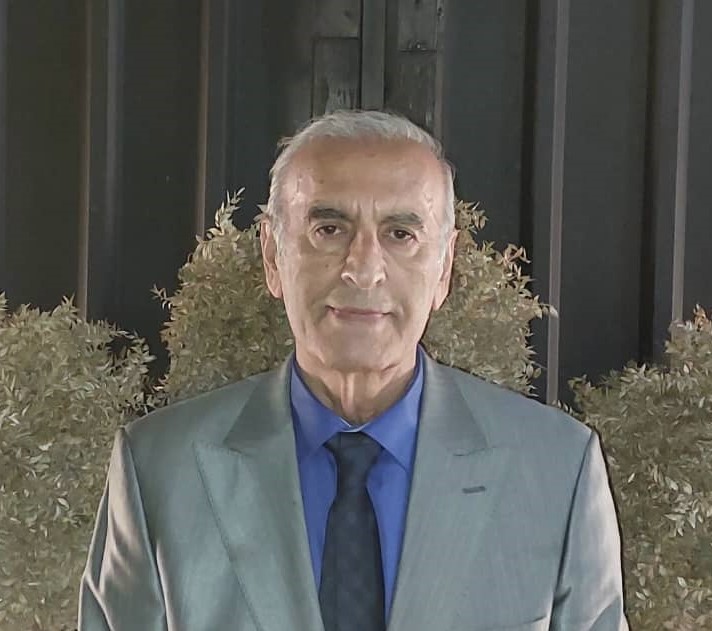 محمدحسین مهرزادی